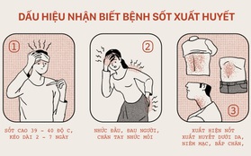 Người người, nhà nhà đều cần thuộc nằm lòng những kiến thức sau để phòng tránh sốt xuất huyết