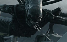 14 hiện thân ghê rợn của "Alien" đã xuất hiện trong thương hiệu phim suốt 4 thập kỷ