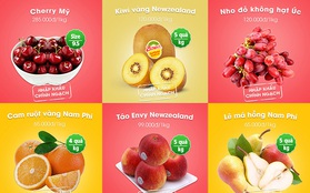 Bây giờ người dân Hà Nội đã có thể yên tâm ăn hoa quả nhập khẩu sạch không cần lo về giá