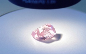Lộ diện viên kim cương hồng lớn nhất trong lịch sử nước Nga