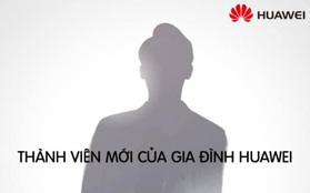 Ai sẽ là đại sứ tiếp theo của Huawei Việt Nam?