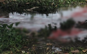 Thi thể người đàn ông đang phân hủy trôi trên sông Sài Gòn