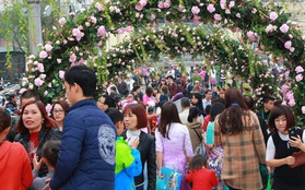 Bất chấp mưa phùn, ngày thứ 3 lễ hội hoa hồng Bulgaria ở Hà Nội vẫn đông nghịt người