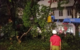 Hà Nội: Cây xanh gãy đổ đè vào xe và người đi đường sau mưa giông gió lớn