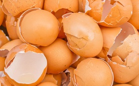 Ăn trứng xong nhớ giữ lại vỏ để làm việc có ích này