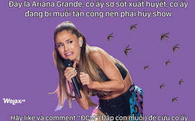 Ảnh chế hot nhất mạng xã hội hôm nay: Ariana Grande hủy show vì... dịch sốt xuất huyết!