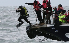 Nỗi ám ảnh của những người thợ lặn tìm kiếm nạn nhân trong vụ lật phà Sewol