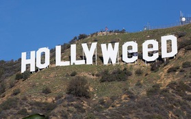 Chỉ sau một đêm, tấm biển Hollywood đã biến thành "Hollyweed" trước sự ngỡ ngàng của người dân