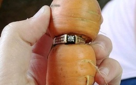 Đánh rơi chiếc nhẫn đính hôn bằng kim cương, 13 năm sau điều kì diệu đã đến với cụ bà ngoài 80