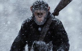 Ceasar bị phản bội trong trailer mới của "War For The Planet Of The Apes"