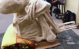Tại Peru, người ta vừa tìm thấy xác ướp ba ngón được cho là người ngoài hành tinh