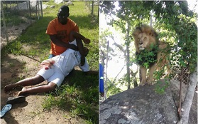 Tựa vào hàng rào chụp ảnh bên chuồng sư tử, nữ du khách bị tấn công phải nhập viện