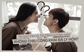 Nếu thật sự ly hôn, Tim và Trương Quỳnh Anh sẽ chịu tổn thất kinh tế như thế nào?