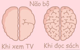 Hóa ra hoạt động thường ngày cũng khiến não bộ "phình ra xẹp nhỏ" lại như thế này!