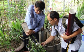 12 quận, huyện Hà Nội báo động đỏ dịch sốt xuất huyết: Đến từng nhà phun thuốc diệt muỗi, bọ gậy