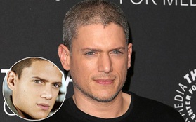 Wentworth Miller - Tuổi thơ của các fan "Vượt ngục" giờ đã 44 tuổi và lộ tóc muối tiêu