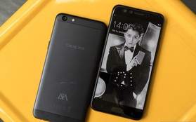 Trên tay điện thoại OPPO F3 phiên bản Sơn Tùng M-TP: giá 6.990.000 đồng, số lượng giới hạn chỉ 300 máy