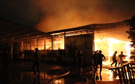 Bình Dương: Công ty gỗ bốc cháy dữ dội, chồng hốt hoảng gọi vợ dậy tháo chạy trong đêm