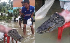 Thái Lan: Mặc kệ mưa lũ, người dân vô tư xẻ thịt cá sấu sổng chuồng giữa dòng nước