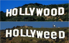 Tác giả đổi Hollywood thành Hollyweed đến đồn cảnh sát tự thú