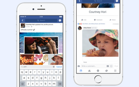 Sau tất cả, Facebook đã cho phép người dùng bình luận bằng ảnh gif không thể dễ hơn