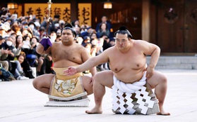 18.000 người nô nức mừng sumo Nhật nhận danh hiệu "Thiên hạ vô song" sau 20 năm