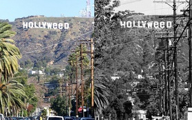 Hóa ra, trò phá hoại biến Hollywood thành "Hollyweed" cũng đã từng xuất hiện từ 41 năm trước!