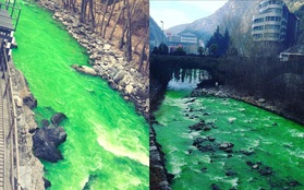 Đằng sau con sông màu xanh tưởng chừng bị ô nhiễm nặng là sự thật không ai ngờ