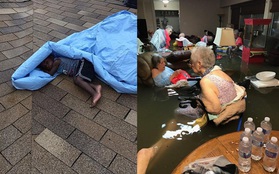 Những hình ảnh kinh khủng nhất từ siêu bão Harvey - cơn ác mộng của người dân Mỹ