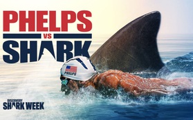Siêu kình ngư Michael Phelps tập bơi cách bầy cá mập chỉ 8 mét