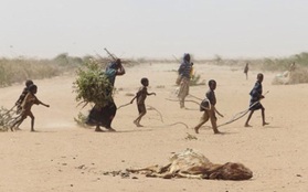 Somalia hạn hán: 110 người chết trong 48 giờ