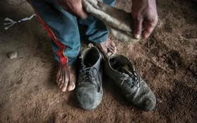 Trang trại chăn nuôi gia súc ở Brazil: Người lao động không có chỗ ngủ tử tế, không nhà vệ sinh, không nước uống và bị ăn chặn lương