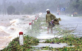 Phát sai dự báo thiên tai bị phạt tới 50 triệu đồng