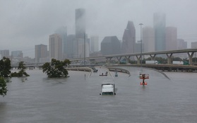 Đổ bộ vào bang Texas, siêu bão Harvey đã "cuốn trôi" 40 tỷ USD theo dòng nước