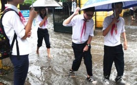Đà Nẵng: Học sinh, sinh viên nghỉ học từ chiều 15/9 để tránh bão số 10