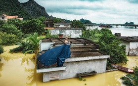 Trong mưa lũ lịch sử ở Ninh Bình, cô dâu chú rể vẫn chịu khó... leo nóc nhà để chụp ảnh cưới