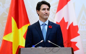 Bạn sẽ ngạc nhiên khi biết bông hoa đỏ cài áo Thủ tướng Justin Trudeau và câu chuyện lịch sử đằng sau