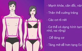 Cách giúp bạn biết chính xác mình thuộc tạng người nào để ăn uống và tập luyện phù hợp