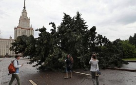 Giông bão tấn công Moscow, thương vong lớn