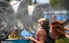 Những đợt nắng nóng kỷ lục gây chết người trên thế giới