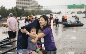 Hình ảnh người Việt trong mưa bão Harvey