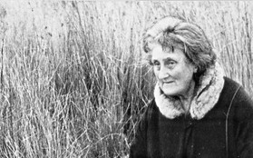Chuyện về “người đàn bà đầm lầy”: Từ tiểu thư danh giá đến cuộc sống cơ hàn và vụ mất tích bí ẩn bậc nhất thế kỷ