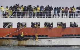 Hàn Quốc bắt đầu trục vớt phà Sewol 3 năm sau thảm họa