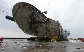 Di hài được tìm thấy từ phà Sewol không phải của người