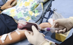Một người Hong Kong nguy kịch vì viêm não Nhật Bản do truyền máu