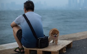 Hong Kong ngày nay: Ganh đua khốc liệt, giới trẻ "mất hứng" với việc kết hôn