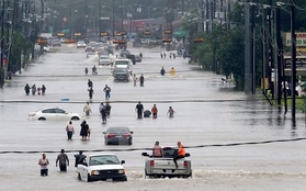 Bão Harvey lọt vào tốp 5 trận bão tệ hại nhất trong lịch sử nước Mỹ