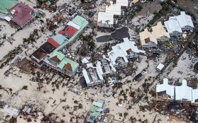 Sau bão Irma, nhiều đảo thiên đường ở Caribbean thành bình địa nhung nhúc chuột bọ