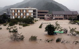 4 người chết và mất tích ở Nhật Bản do bão Talim
