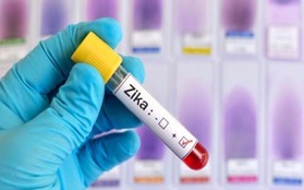 Phát hiện ca nhiễm virus Zika đầu tiên ở Vĩnh Long